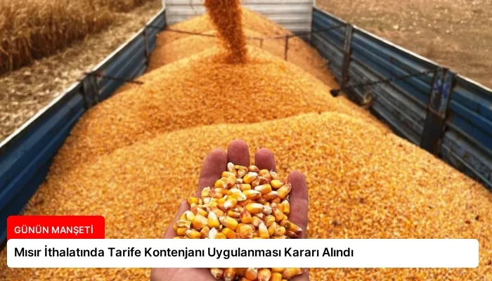 Mısır İthalatında Tarife Kontenjanı Uygulanması Kararı Alındı