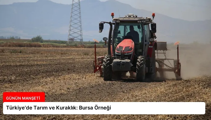 Türkiye’de Tarım ve Kuraklık: Bursa Örneği