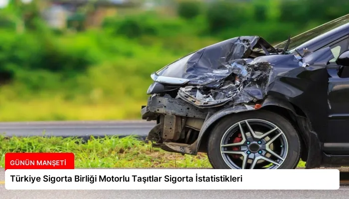 Türkiye Sigorta Birliği Motorlu Taşıtlar Sigorta İstatistikleri