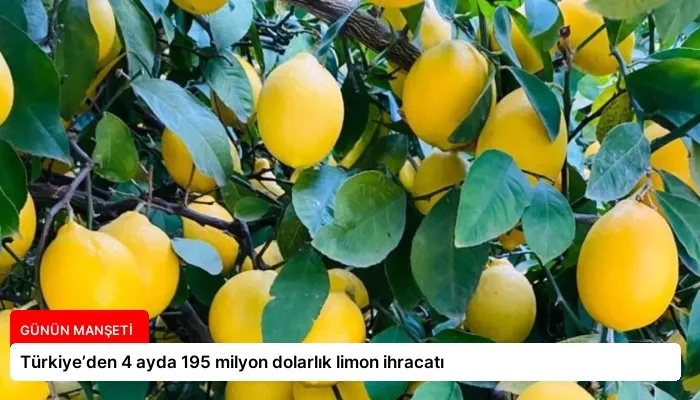 Türkiye’den 4 ayda 195 milyon dolarlık limon ihracatı