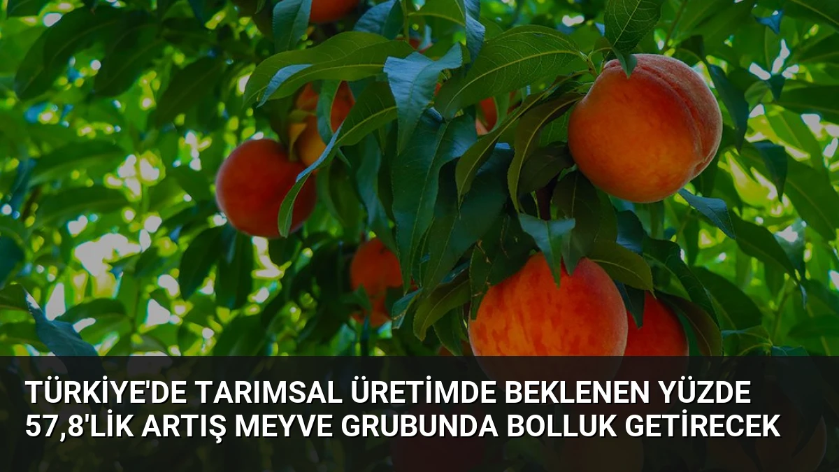 Türkiye’de Tarımsal Üretimde Beklenen Yüzde 57,8’lik Artış Meyve Grubunda Bolluk Getirecek