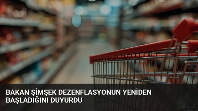 Bakan Şimşek Dezenflasyonun Yeniden Başladığını Duyurdu
