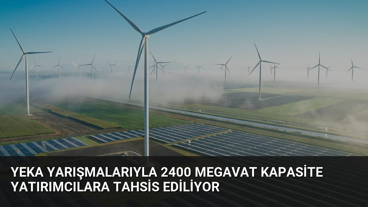 YEKA Yarışmalarıyla 2400 Megavat Kapasite Yatırımcılara Tahsis Ediliyor