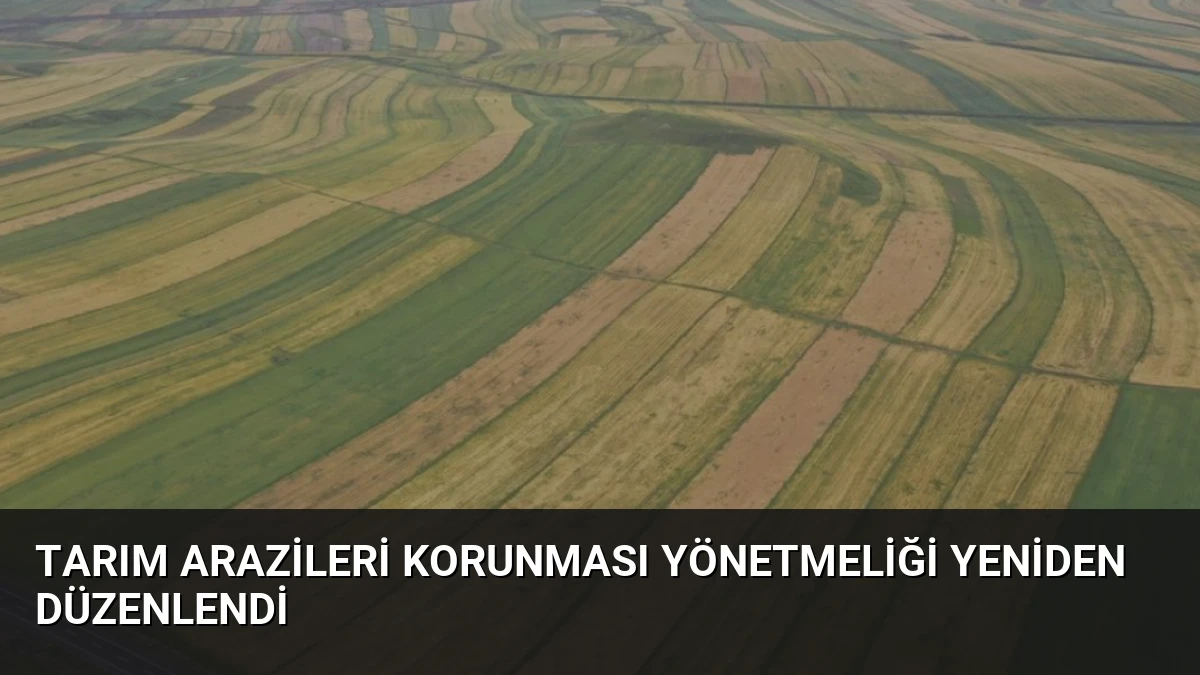 Tarım Arazileri Korunması Yönetmeliği Yeniden Düzenlendi