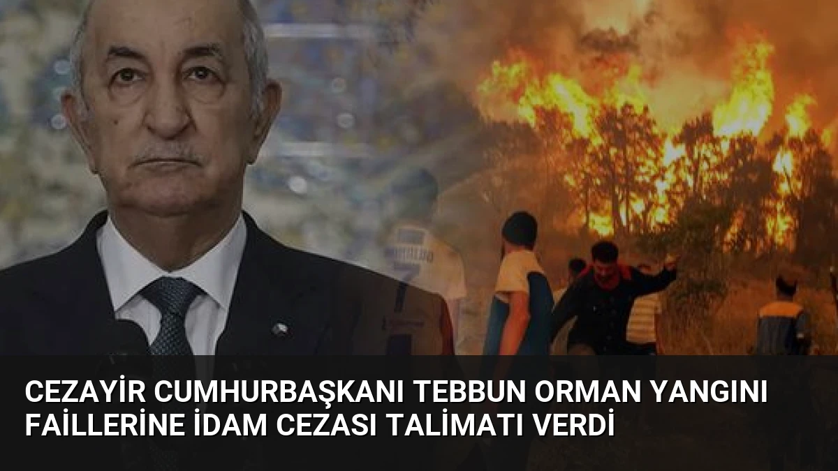 Cezayir Cumhurbaşkanı Tebbun Orman Yangını Faillerine İdam Cezası Talimatı Verdi
