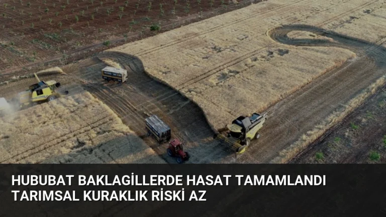 Hububat Baklagillerde Hasat Tamamlandı Tarımsal Kuraklık Riski Az
