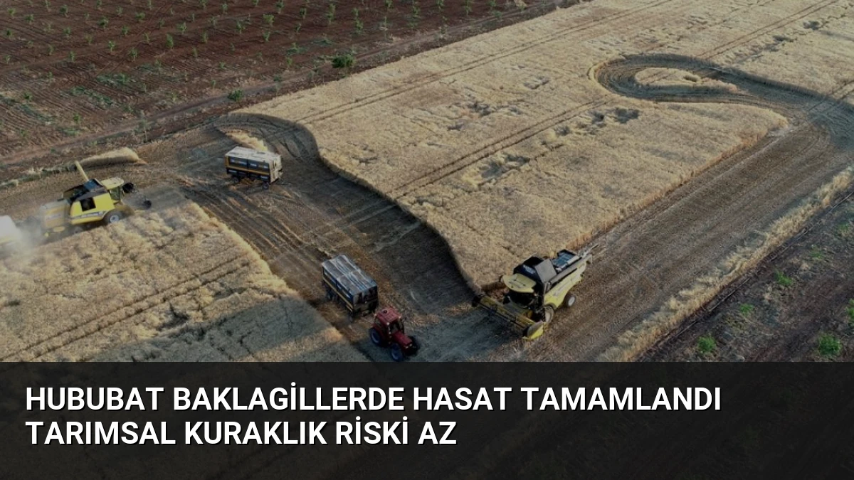 Hububat Baklagillerde Hasat Tamamlandı Tarımsal Kuraklık Riski Az