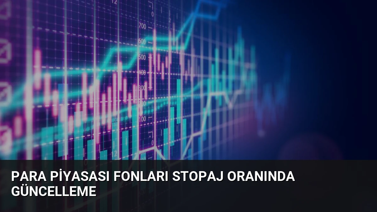 Para Piyasası Fonları Stopaj Oranında Güncelleme