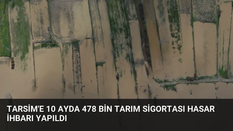 TARSİM’e 10 Ayda 478 Bin Tarım Sigortası Hasar İhbarı Yapıldı